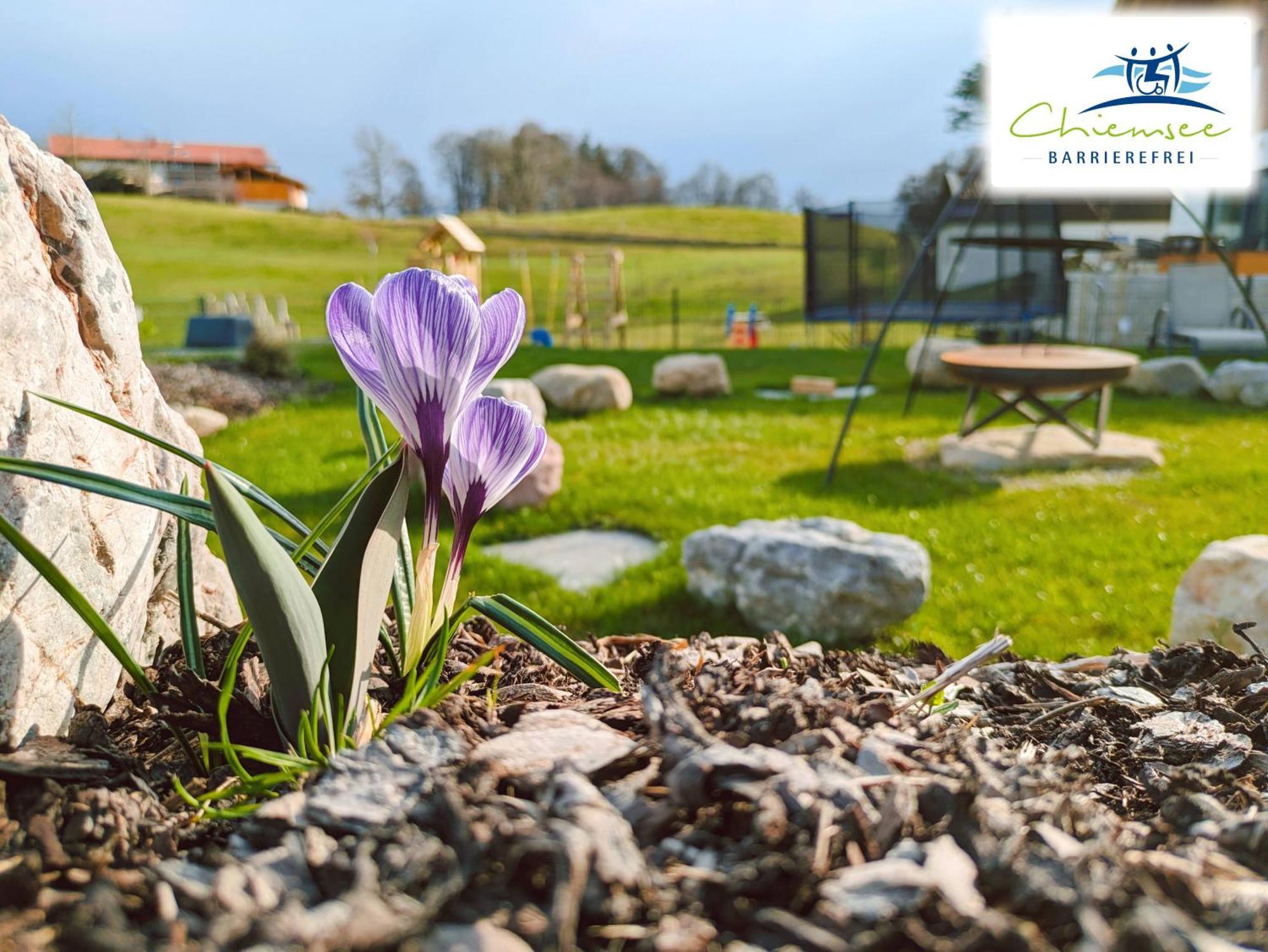 Apartment Chiemsee-barrierefrei *